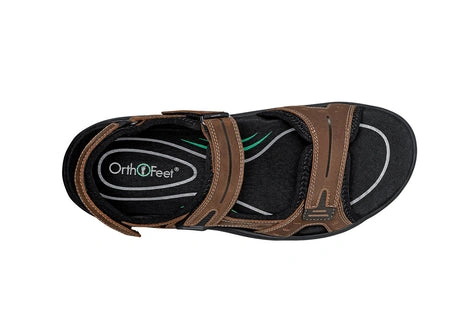 Where to buy Gemini Brown 0323